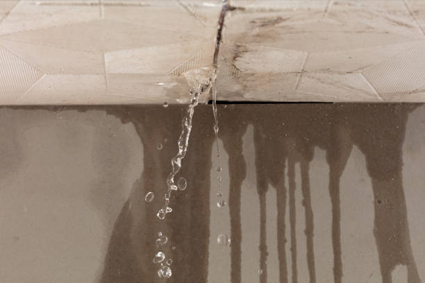 Professional Structural Drying technician working in South Plainfield, NJ